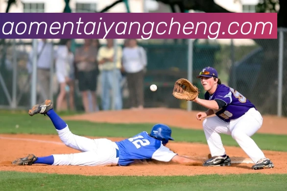 澳门太阳城官网平台生态图